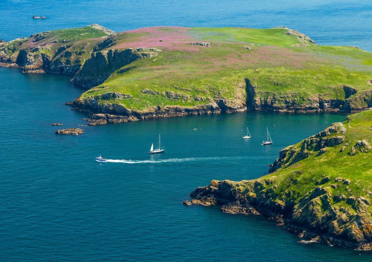 فيلا Bwthyn Clyd - St Davids المظهر الخارجي الصورة